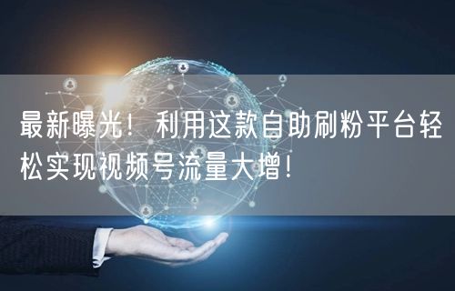 最新曝光！利用这款自助刷粉平台轻松实现视