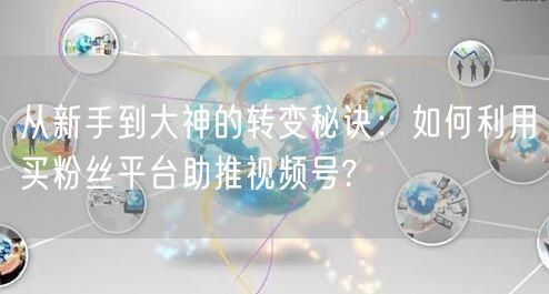 从新手到大神的转变秘诀：如何利用买粉丝平台助推视频号?