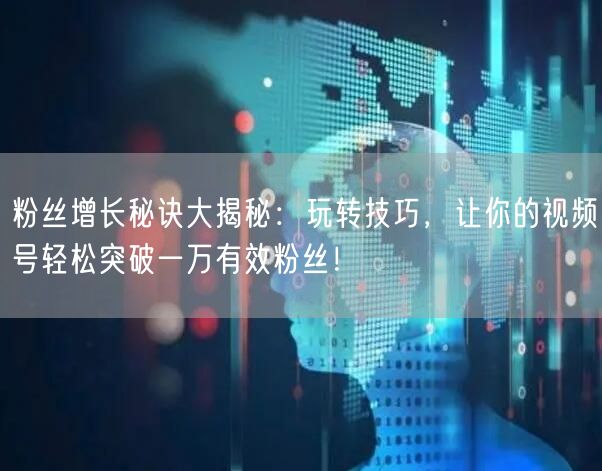 粉丝增长秘诀大揭秘：玩转技巧，让你的视频号轻松突破一万有效粉丝！