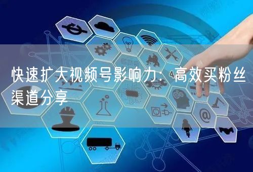快速扩大视频号影响力：高效买粉丝渠道分享