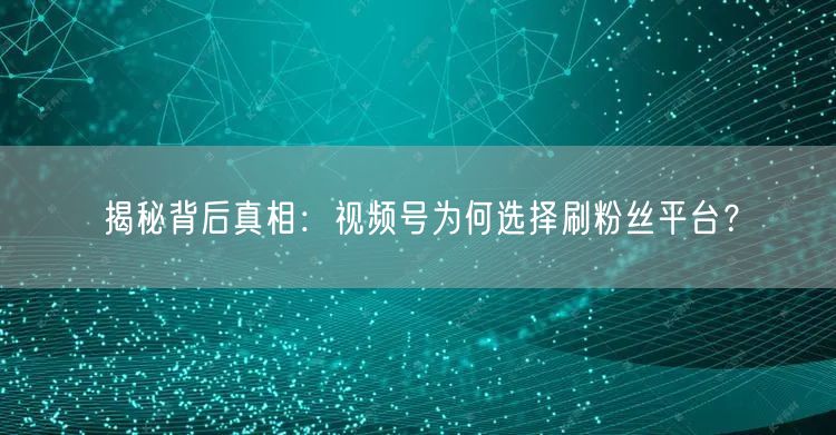 揭秘背后真相：视频号为何选择刷粉丝平台？