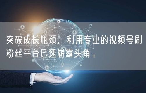 突破成长瓶颈，利用专业的视频号刷粉丝平台迅速崭露头角。