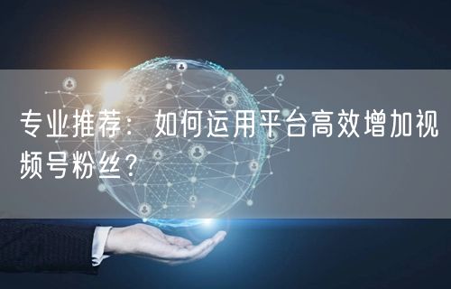 专业推荐：如何运用平台高效增加视频号粉丝？