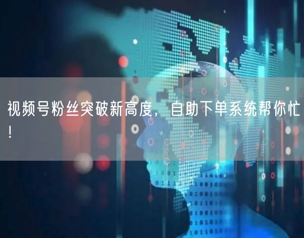 视频号粉丝突破新高度，自助下单系统帮你忙！