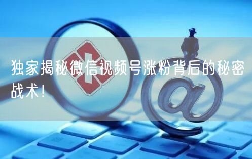 独家揭秘微信视频号涨粉背后的秘密战术！