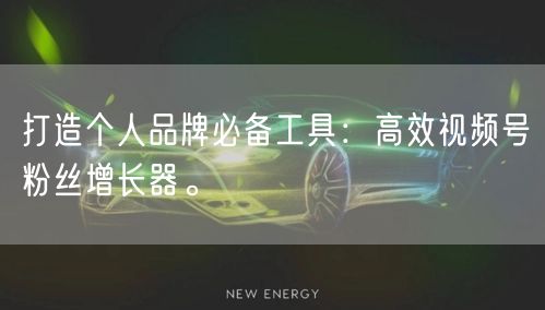 打造个人品牌必备工具：高效视频号粉丝增长