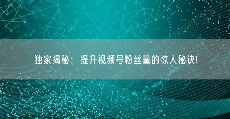 独家揭秘：提升视频号粉丝量的惊人秘诀!