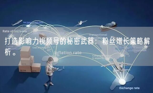 打造影响力视频号的秘密武器：粉丝增长策略