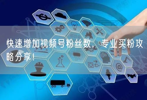 快速增加视频号粉丝数，专业买粉攻略分享！