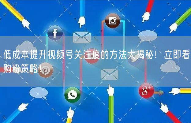 低成本提升视频号关注度的方法大揭秘！立即看购粉策略！