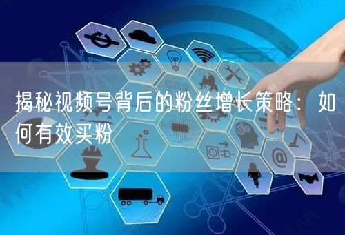 揭秘视频号背后的粉丝增长策略：如何有效买粉
