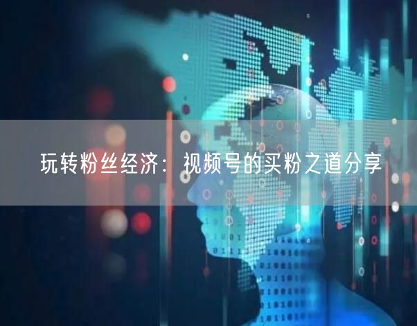 玩转粉丝经济：视频号的买粉之道分享