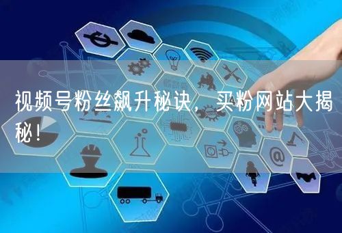 视频号粉丝飙升秘诀，买粉网站大揭秘！