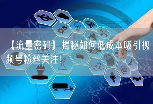【流量密码】揭秘如何低成本吸引视频号粉丝关注！
