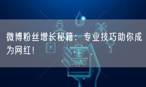 微博粉丝增长秘籍：专业技巧助你成为网红！
