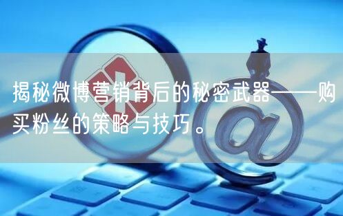揭秘微博营销背后的秘密武器——购买粉丝的策略与技巧。