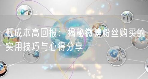 低成本高回报：揭秘微博粉丝购买的实用技巧与心得分享