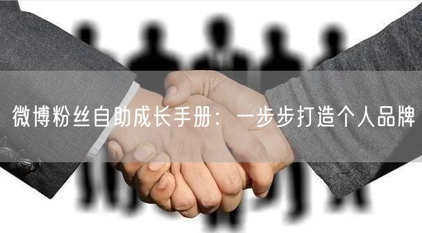 微博粉丝自助成长手册：一步步打造个人品牌