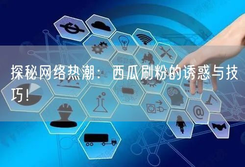 探秘网络热潮：西瓜刷粉的诱惑与技巧！