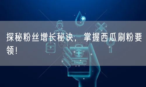探秘粉丝增长秘诀，掌握西瓜刷粉要领！