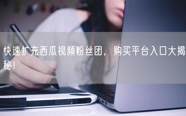 快速扩充西瓜视频粉丝团，购买平台入口大揭秘！