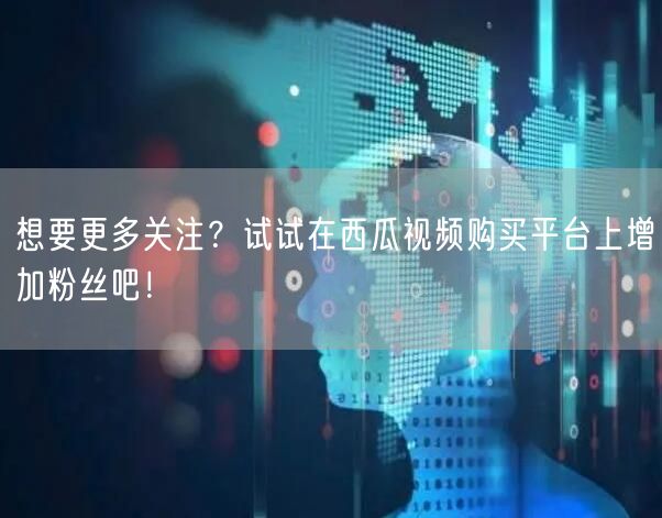 想要更多关注？试试在西瓜视频购买平台上增加粉丝吧！