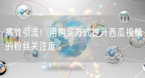 高效引流！用购买方式提升西瓜视频的粉丝关注度。