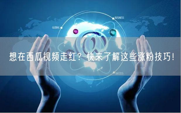 想在西瓜视频走红？快来了解这些涨粉技巧！
