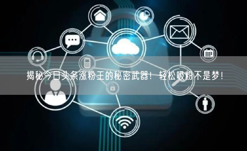 揭秘今日头条涨粉王的秘密武器！轻松吸粉不是梦！