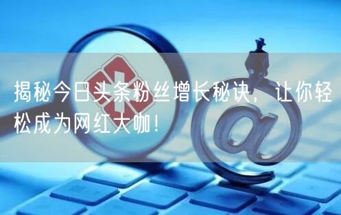 揭秘今日头条粉丝增长秘诀，让你轻松成为网
