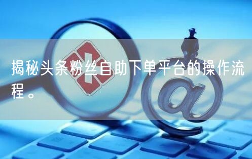揭秘头条粉丝自助下单平台的操作流程。