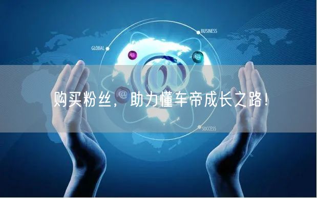 购买粉丝，助力懂车帝成长之路！