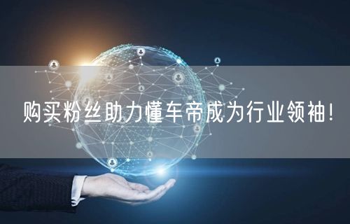 购买粉丝助力懂车帝成为行业领袖！