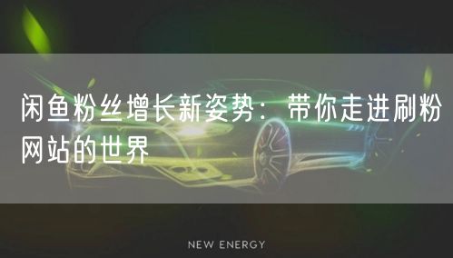 闲鱼粉丝增长新姿势：带你走进刷粉网站的世界