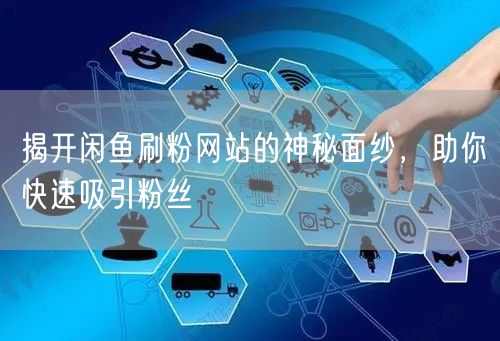 揭开闲鱼刷粉网站的神秘面纱，助你快速吸引粉丝