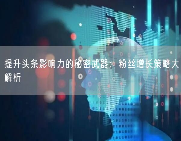提升头条影响力的秘密武器：粉丝增长策略大解析