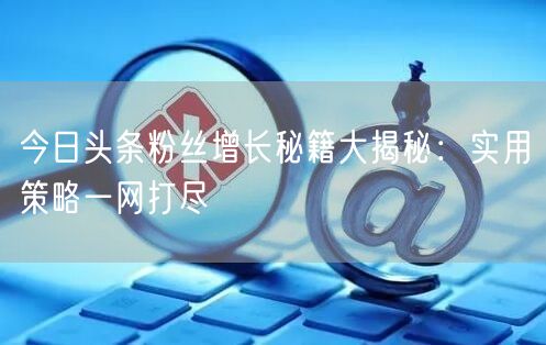 今日头条粉丝增长秘籍大揭秘：实用策略一网