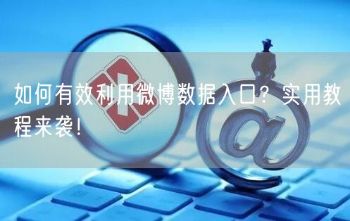 如何有效利用微博数据入口？实用教程来袭！