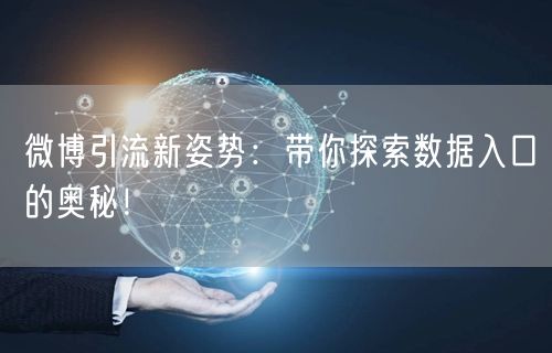 微博引流新姿势：带你探索数据入口的奥秘！