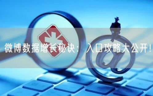 微博数据增长秘诀：入口攻略大公开！