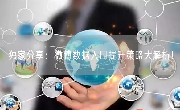 独家分享：微博数据入口提升策略大解析！