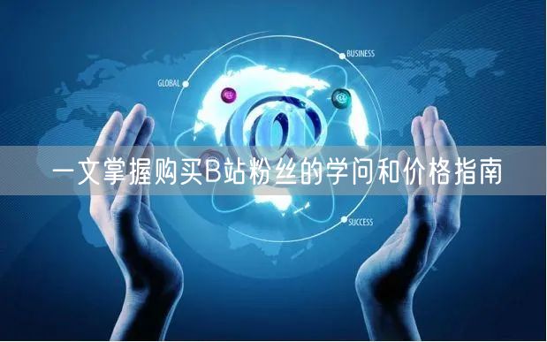 一文掌握购买B站粉丝的学问和价格指南