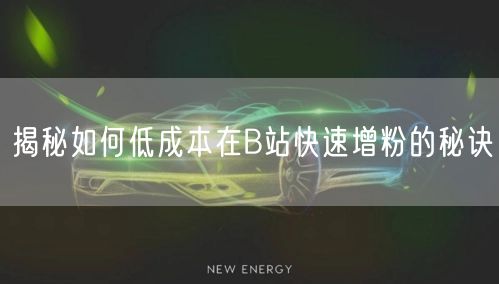 揭秘如何低成本在B站快速增粉的秘诀