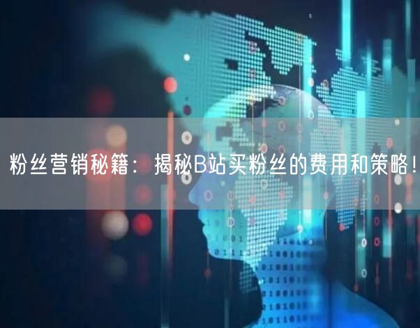粉丝营销秘籍：揭秘B站买粉丝的费用和策略！