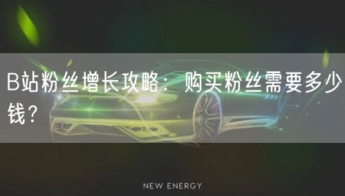 B站粉丝增长攻略：购买粉丝需要多少钱？