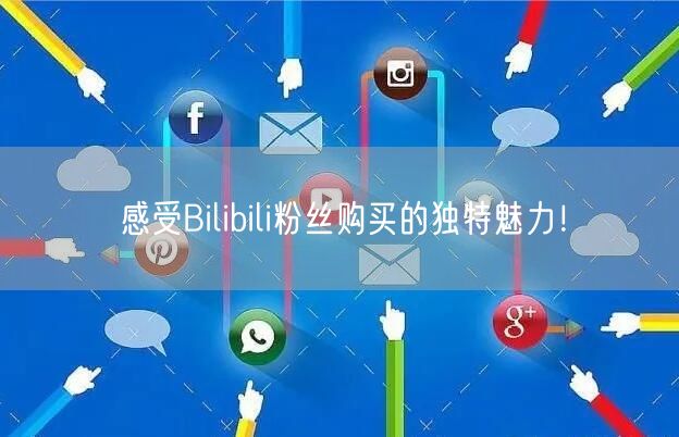 感受Bilibili粉丝购买的独特魅力！