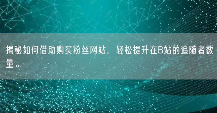 揭秘如何借助购买粉丝网站，轻松提升在B站