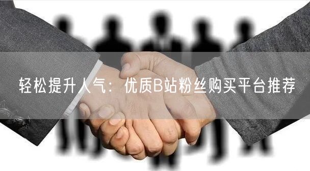 轻松提升人气：优质B站粉丝购买平台推荐