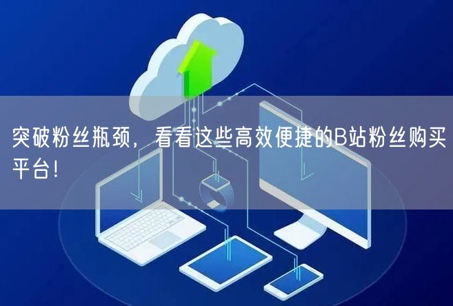 突破粉丝瓶颈，看看这些高效便捷的B站粉丝购买平台！