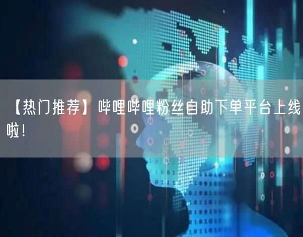 【热门推荐】哔哩哔哩粉丝自助下单平台上线啦！